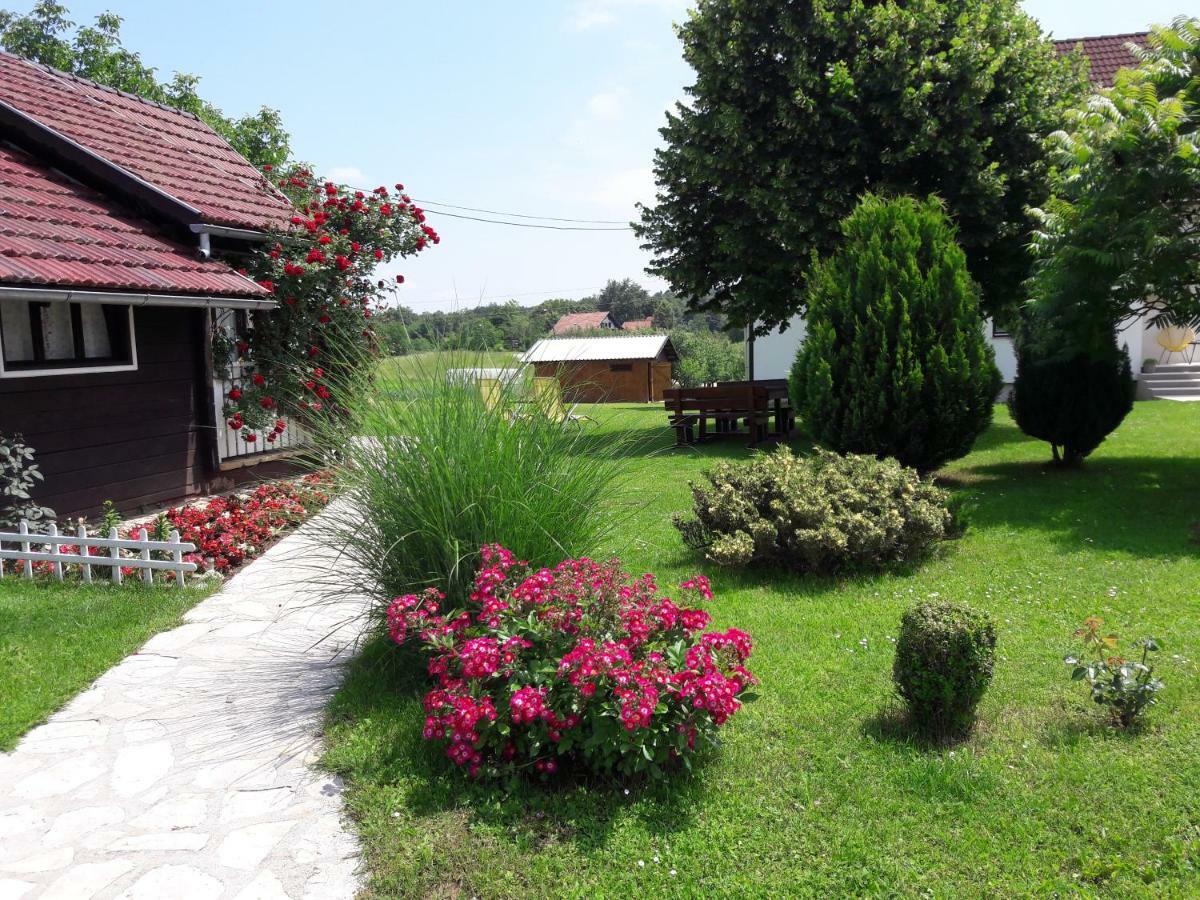 Nela Apartment Smoljanac Esterno foto